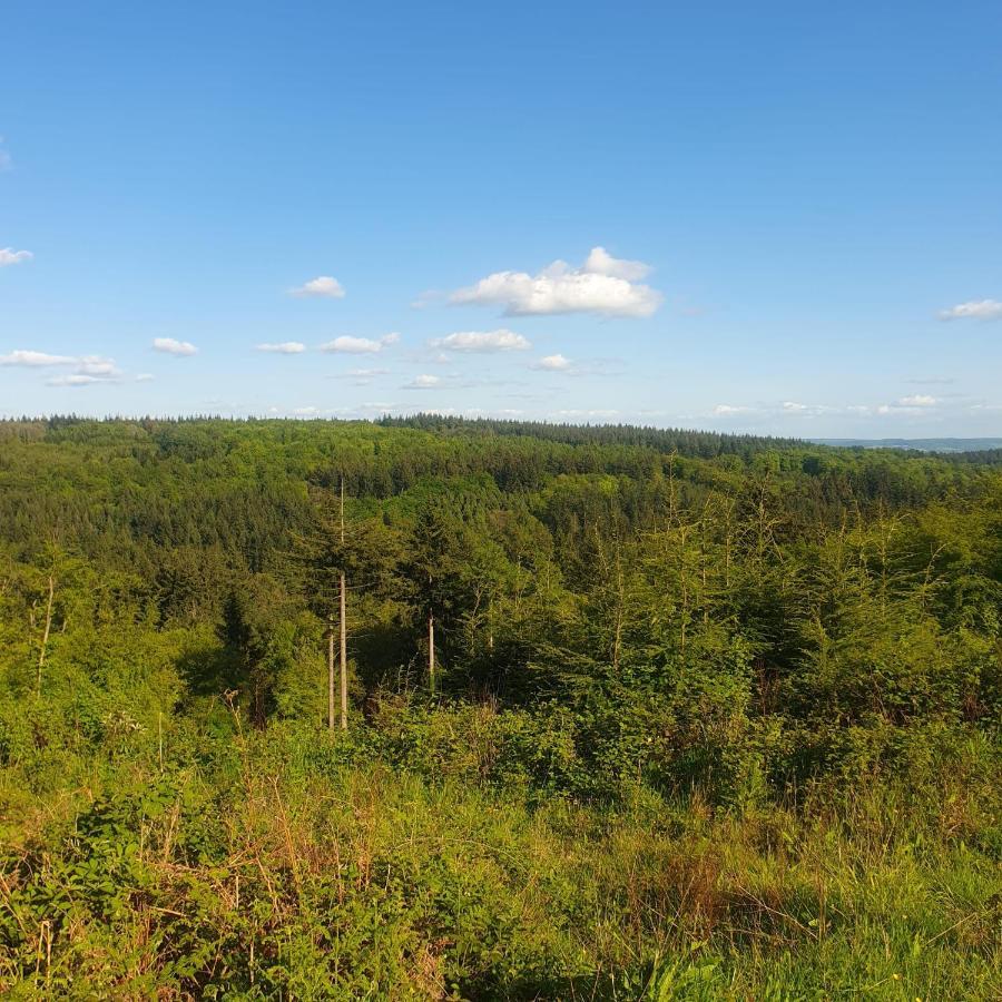Forest Cedar Lodge, Forest Of Dean Cinderford Exteriér fotografie
